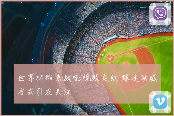世界杯维京战吼视频走红 球迷助威方式引发关注